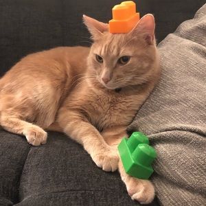 Meet your Posher, Ruby